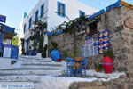 Kos town (Kos-town) | Island of Kos | Greece Photo 61 - Photo JustGreece.com