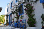 Kos town (Kos-town) | Island of Kos | Greece Photo 63 - Photo JustGreece.com