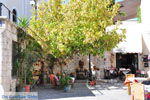 Kos town (Kos-town) | Island of Kos | Greece Photo 80 - Photo JustGreece.com