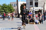 JustGreece.com Kos town (Kos-town) | Island of Kos | Greece Photo 83 - Foto van JustGreece.com