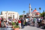 Kos town (Kos-town) | Island of Kos | Greece Photo 87 - Photo JustGreece.com