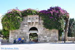 Kos town (Kos-town) | Island of Kos | Greece Photo 93 - Photo JustGreece.com