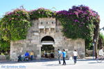 Kos town (Kos-town) | Island of Kos | Greece Photo 95 - Photo JustGreece.com
