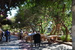 Kos town (Kos-town) | Island of Kos | Greece Photo 96 - Photo JustGreece.com
