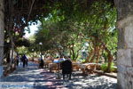 JustGreece.com Kos town (Kos-town) | Island of Kos | Greece Photo 97 - Foto van JustGreece.com