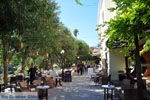 Kos town (Kos-town) | Island of Kos | Greece Photo 98 - Photo JustGreece.com