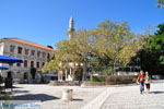 Kos town (Kos-town) | Island of Kos | Greece Photo 109 - Photo JustGreece.com