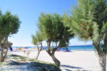 Marmari Kos | Island of Kos | Greece Photo 4 - Photo JustGreece.com