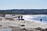 Mastichari Kos | Island of Kos | Greece Photo 5 - Photo JustGreece.com