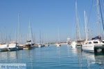 Kos town (Kos-town) | Island of Kos | Greece Photo 116 - Photo JustGreece.com
