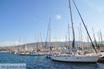 Marina Kos town (Kos-town) | Island of Kos | Greece Photo 126 - Photo JustGreece.com