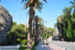 JustGreece.com Kos town (Kos-town) | Island of Kos | Greece Photo 128 - Foto van JustGreece.com