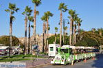 JustGreece.com Kos town (Kos-town) | Island of Kos | Greece Photo 137 - Foto van JustGreece.com