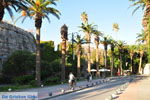 Kos town (Kos-town) | Island of Kos | Greece Photo 138 - Photo JustGreece.com