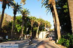 Kos town (Kos-town) | Island of Kos | Greece Photo 139 - Photo JustGreece.com