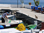 Island of Kalamos near Lefkada - Greece - Photo 18 - Photo JustGreece.com