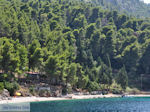 Island of Kalamos near Lefkada - Greece - Photo 27 - Foto van JustGreece.com