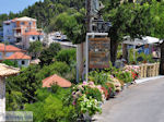 JustGreece.com Overal bloemen in Athani - Lefkada (Lefkas) - Foto van JustGreece.com