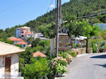 JustGreece.com Athani, overal bloemen and heel veel groen - Lefkada (Lefkas) - Foto van JustGreece.com