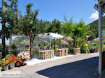 JustGreece.com Terraces with uitzicht in Athani - Lefkada (Lefkas) - Foto van JustGreece.com