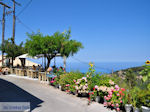 JustGreece.com Heerlijk genieten in Athani - Lefkada (Lefkas) - Foto van JustGreece.com