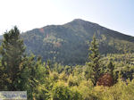 The groene nature in the Mountainous near Englouvi - Lefkada (Lefkas) - Photo JustGreece.com