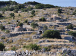 JustGreece.com Volti, stenen huisjes of Englouvi - Lefkada (Lefkas) - Foto van JustGreece.com