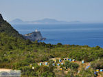 Bijenkasten at Cape Lefkatas - Lefkada (Lefkas) - Photo JustGreece.com