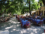 JustGreece.com The gezellige Square of Karia (Karya) Photo 4 - Lefkada (Lefkas) - Foto van JustGreece.com