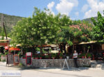 JustGreece.com Poros Lefkados - Mikros Gialos Photo 20 - Lefkada (Lefkas) - Foto van JustGreece.com