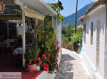 JustGreece.com Poros Lefkados - Mikros Gialos Photo 35 - Lefkada (Lefkas) - Foto van JustGreece.com