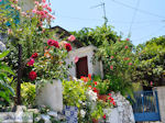 Poros Lefkados - Mikros Gialos Photo 37 - Lefkada (Lefkas) - Photo JustGreece.com