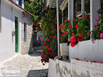 JustGreece.com Poros Lefkados - Mikros Gialos Photo 39 - Lefkada (Lefkas) - Foto van JustGreece.com