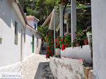 JustGreece.com Poros Lefkados - Mikros Gialos Photo 40 - Lefkada (Lefkas) - Foto van JustGreece.com