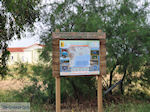 Birdwatching in Lesbos - Photo JustGreece.com