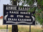 JustGreece.com Welcome in Skala Kallonis - Foto van JustGreece.com