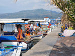 Bootjes at vissersThe harbour of Skala Kalllonis - Photo JustGreece.com