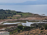 Waterrijk gebied near Kalloni - Photo JustGreece.com