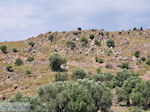 Ten westen of The bay of Kalloni Photo 002 - Photo JustGreece.com