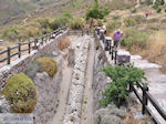 Petrified forest near Sigri foto5 - Photo JustGreece.com