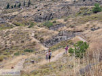Petrified forest near Sigri foto9 - Photo JustGreece.com
