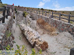 JustGreece.com Petrified forest near Sigri foto11 - Foto van JustGreece.com