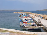 Bootjes at vissersThe harbour of Sigri - Photo JustGreece.com
