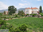 JustGreece.com Mooie appartementen in Petra - Foto van JustGreece.com