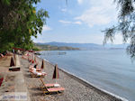 The pebble beach Molyvos Photo 1 - Photo JustGreece.com