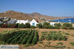 JustGreece.com Kalafatis | Mykonos | Greece - Greece  Photo 1 - Foto van JustGreece.com