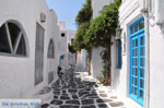 Mykonos town (Chora) | Greece | Greece  Photo 25 - Photo JustGreece.com