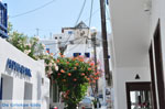 JustGreece.com Mykonos town (Chora) | Greece | Greece  Photo 62 - Foto van JustGreece.com