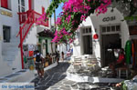 Mykonos town (Chora) | Greece | Greece  Photo 68 - Photo JustGreece.com