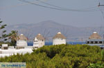 Mykonos town (Chora) | Greece | Greece  Photo 82 - Photo JustGreece.com